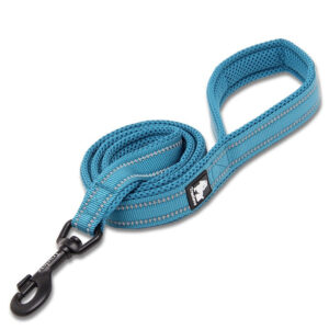 Reflective Pet Leash 2 meters Blue L