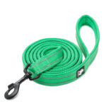 Reflective Pet Leash 2 meters Green S