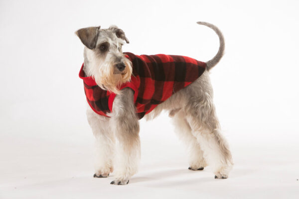 Red Check Dog Pyjamas 40cm