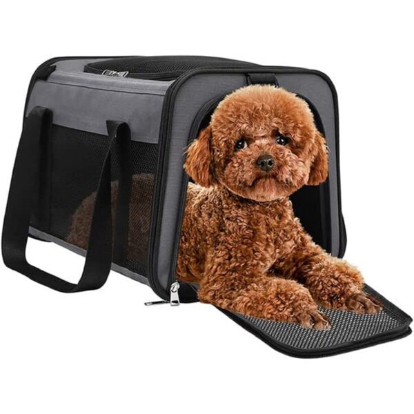 Portable Pet Carrier-L Size (Grey) FI-PC-138-FCQ