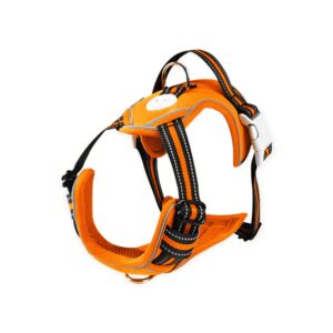 Dog Harness Vest M Size (Orange) FI-PC-171-XL