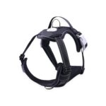 Dog Harness Vest L Size (Black) FI-PC-172-XL