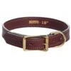 Mendota Leather Wide width Dog Collar  1" X 22"