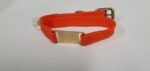 Mendota Products - ID Junior Dog Collar with Brass Tag - SIZES: 35CM   - Made in the USA - Orange