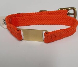 Mendota Products - ID Junior Dog Collar with Brass Tag - SIZES: 35CM   - Made in the USA - Orange