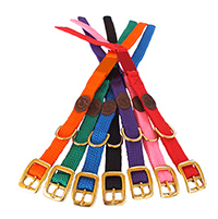 Mendota Doublebraided Coloured Tag Dog Collars -with matching coloured ID tag for engraving - Size 30cm - Made in the USA - Red
