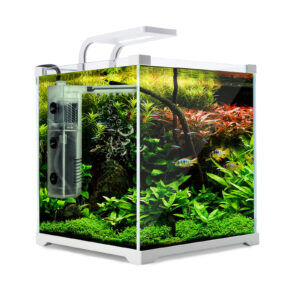 Aquarium Fish Tank 16L Starfire Glass