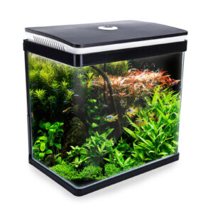 Aquarium Fish Tank 30L Curved Glass RGB LED
