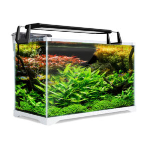 Aquarium Fish Tank 39L Starfire Glass