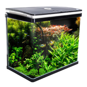 Aquarium Fish Tank 52L Curved Glass RGB LED