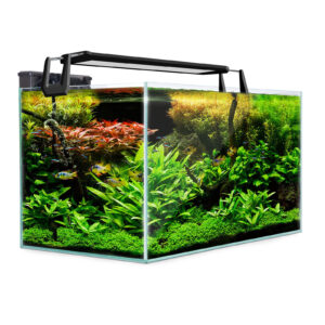 Aquarium Fish Tank 70L Starfire Glass