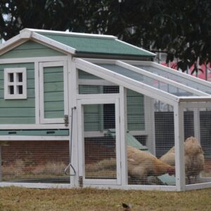 Green Large Chicken Coop Rabbit Hutch Ferret Guinea Pig Cage Hen Chook Cat Kitten House