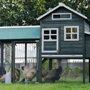 XL Chicken Coop Rabbit Hutch Guinea Pig Cage Ferret House