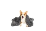 Pet Calming Plush Blanket Dog Cat Rug Puppy Kitten  Soft Warmth Fleece 127X100 cm
