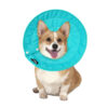 Pet Dog Cat Elizabethan Collar Nylon Adjustable Cone Mesh Recovery