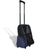 Blue Foldable Pet Stroller Carrier Backpack Ventilated Mesh Windows Portable