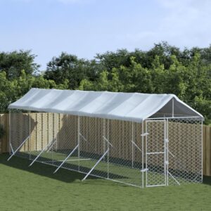 Outdoor Dog Kennel with Roof Silver 2x10x2.5 m Galvanised Steel