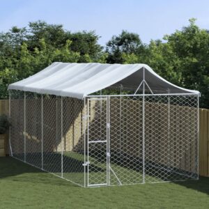 Outdoor Dog Kennel with Roof Silver 3x6x2.5 m Galvanised Steel