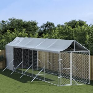 Outdoor Dog Kennel with Roof Silver 2x10x2.5 m Galvanised Steel