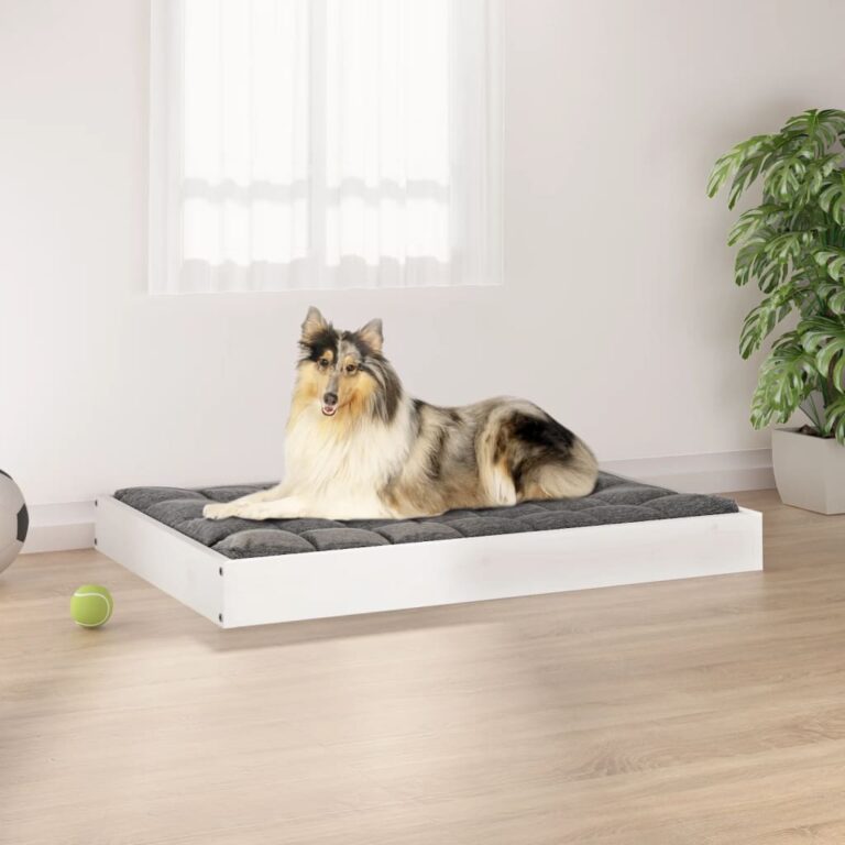 Luxury Solid Pine Wood Pet Sofa Bed White Durable Comfortable Minimalist Design