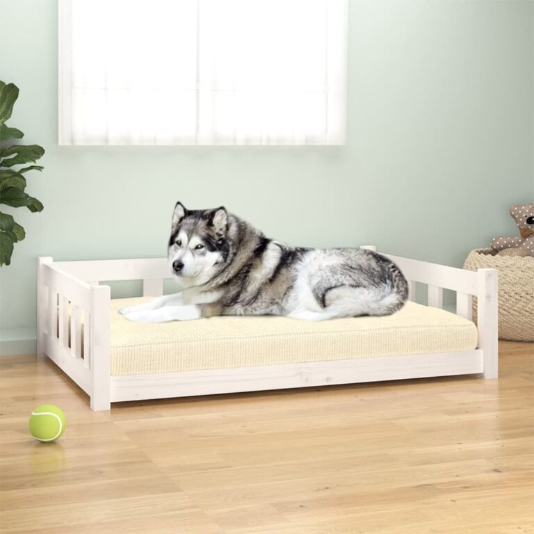 Luxury Solid Pine Wood Pet Bed White Rectangular Elevated Dog Sofa Cozy Home