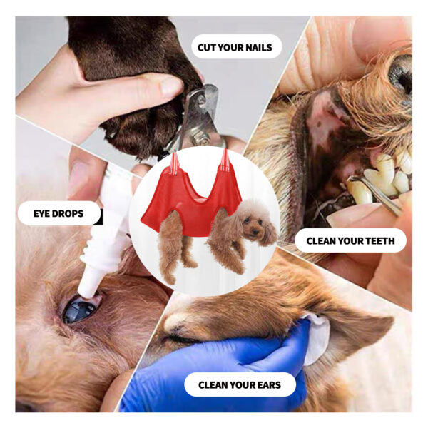 Pawfriends New Pet Grooming Restraint Bag for Dogs and Cats Hassle-Free Bathing Trimming AU Pet Dog Cat Grooming  Restraint Bag  Bathing Trimming  Nail Cutting  Hammock Helper