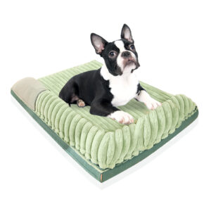 Pawfriends Green-Colored Striped Velvet Dog Bed with Detachable and Washable Dual-Sided Use Dog bed  Striped Velvet Dog Bed  Removable Washable  Reversible Design