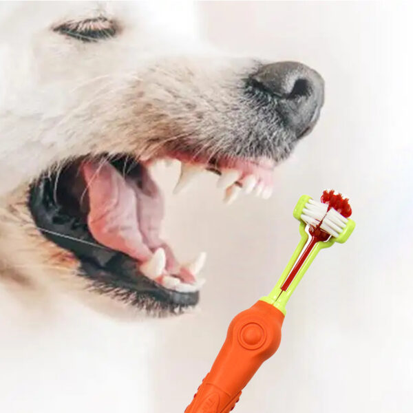Pawfriends Pet Three-Head Multi-Angle Dog  Cat Toothbrush Oral Cleaning Product Orange Pet Three-Head  Multi-Angle  Dog Toothbrush  Cat Toothbrush  Oral Cleaning Products