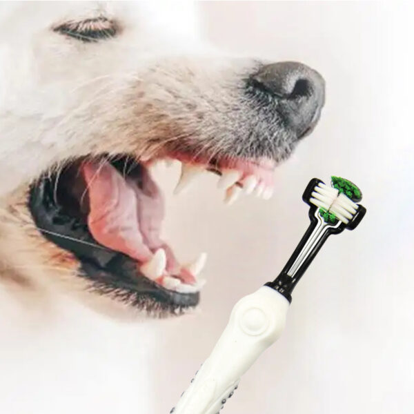 Pawfriends Pet Three-Head Multi-Angle Dog Cat Toothbrush Oral Cleaning Product White Pet Three-Head  Multi-Angle  Dog Toothbrush  Cat Toothbrush  Oral Cleaning Products