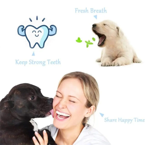 Pawfriends Pet Three-Head Multi-Angle Dog Cat Toothbrush Oral Cleaning Product White Pet Three-Head  Multi-Angle  Dog Toothbrush  Cat Toothbrush  Oral Cleaning Products