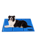 Pet Cooling Mat Gel Mats Bed Cool Double 9KG