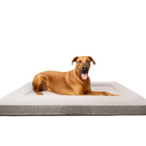 Orthopedic Dog Bed with Memory Foam and Machine Washable Cover for Comfort