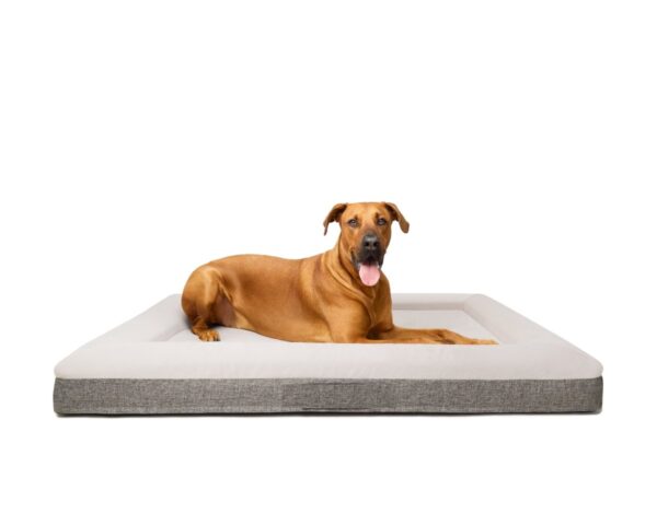 Orthopedic Dog Bed with Memory Foam and Machine Washable Cover for Comfort