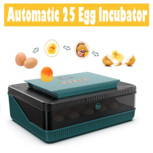 Digital LED Automatic 25 Egg Incubator with Turning and Temperature Control