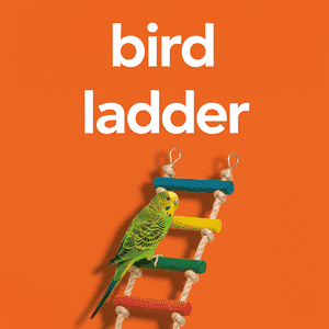 Bird Ladder