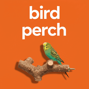 Bird Perch