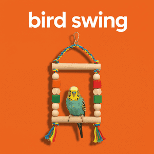 Bird Swing