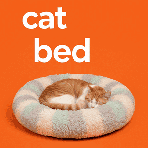 Cat Bed