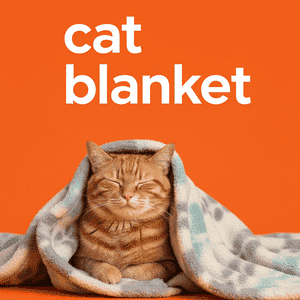Cat Blanket