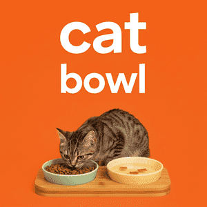 Cat Bowl