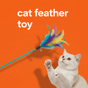 Cat Feather Toy