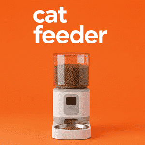 Cat Feeder