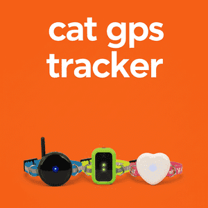 Cat Gps Tracker
