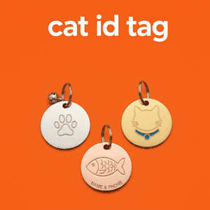 Cat Id Tag