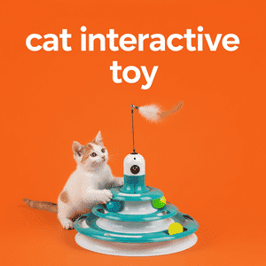 Cat Interactive Toy