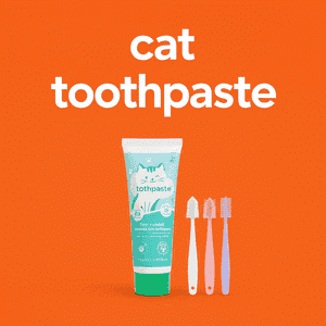 Cat Toothpaste