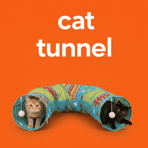 Cat Tunnel