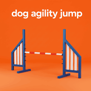 Dog Agility Jump