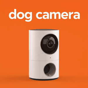 Dog Camera