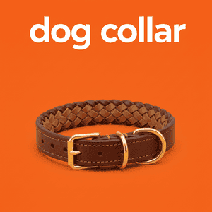 Dog Collar